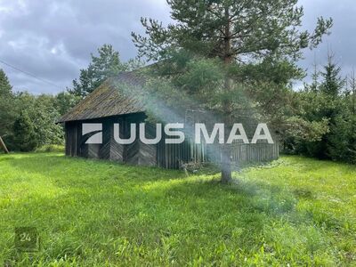 Kõrghaljastus, hea ligipääs