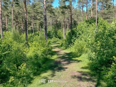 Metsamaa investeeringuks hea ligipääsuga