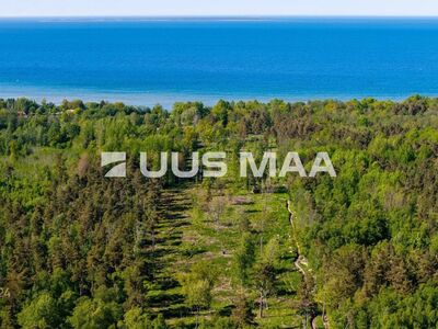 Ruumikas krunt mere lähedal!