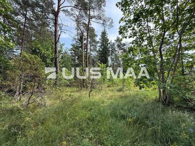 Elamumaa Vasalemma looduskaunis elukeskkonnas