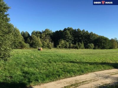 Merelähedased kinnistud Raespa külas