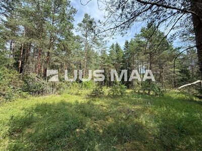 Elamumaa Vasalemma looduskaunis elukeskkonnas