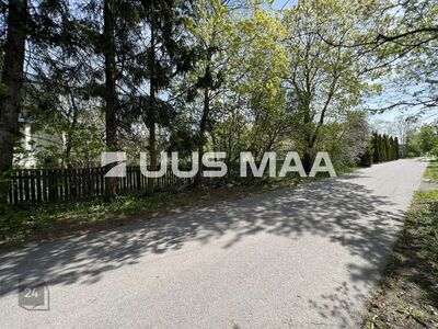 Elamumaa krunt Mõigus!