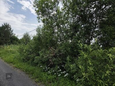 Pakkumisel on kaks kõrvutiasuvat kinnistut looduskaunis ja ajaloolises Kasepää alevikus,

otse ku