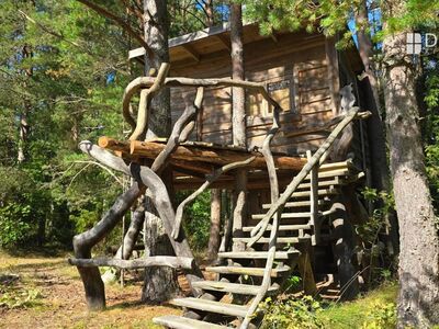 TREEHOUSES in the forest near Soela Harbour!