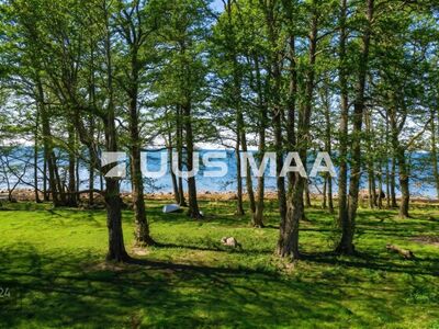 Mereäärne kinnistu Kuusalu vallas