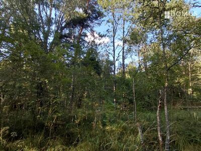 4,7 hektari suurune maatulundusmaa