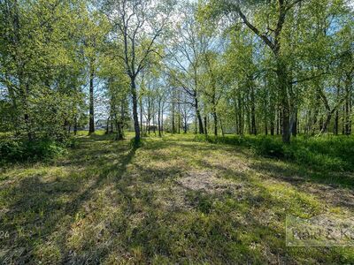 Müüa kõrghaljastusega kinnistu Harjumaal, Jõelähtme vallas, aadressil Tammiku tee 6, Uusküla