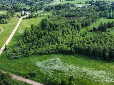AINULT 39 900€! 2 krunti kokku 2,1 ha – Otepää lähedal!