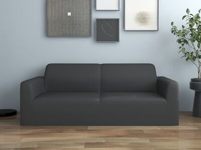 vidaXL 2-kohaline veniv diivanikate, antratsiithall, polüesterkangas