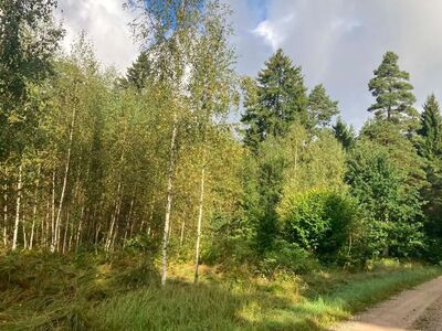 Kinnistu Pöitse külas 3800.-