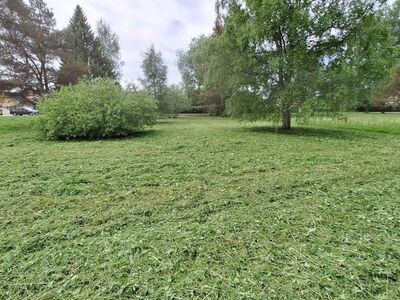 Elamukrunt kevadpealinna roheluses