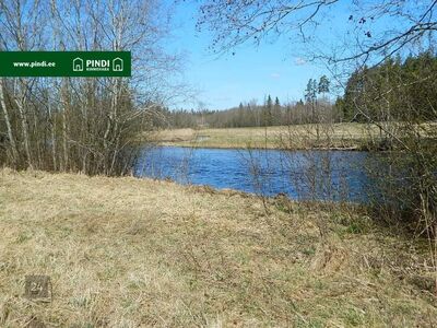 Maatükk metsasaluga Pärnu jõekäärus.