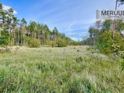 Kinnistu Mändjala metsade rüpes.