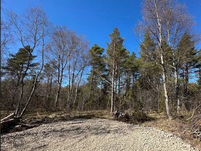 Ilusa männisaluga Kadakane rannamaa