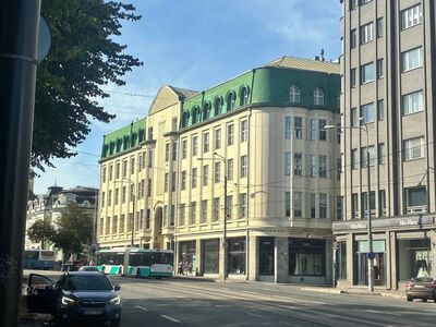 Suure vitriinaknaga äripind