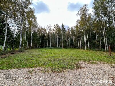 Linnalähedane koht suvila või kodu rajamiseks!