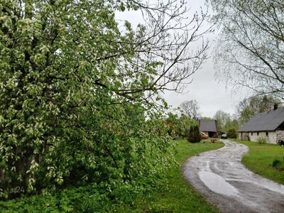 Pärnu lähedal müüa suure kinnistuga talukoht!