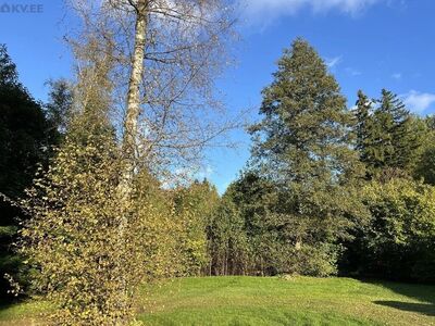 Müüa oja ja metsaga piirnev elamukrunt Viimsis