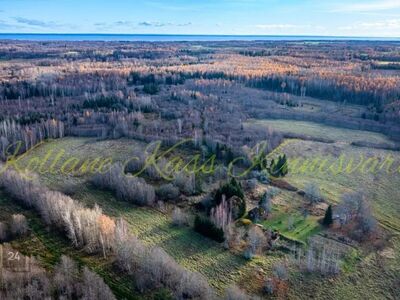 SUUR, 6,1ha METSAGA KINNISTU