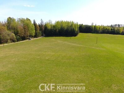 RELJEEFNE KÕRGHALJASTUSEGA  KINNISTU 2,17 HA! ALAJAAM!