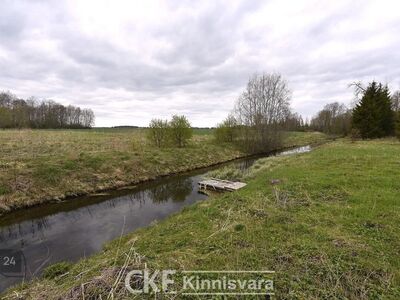 MÜÜA TÕRMAS SUUR KRUNT, MIDA LÄBIB OJA