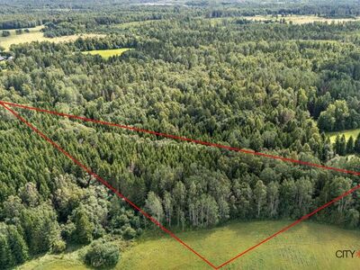 Müüa metsa ja ojaga krunt Tallinna piirist 22km!
