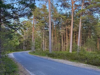 Imeline Männiladva kinnistu Roosta roheluses!