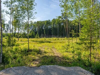 KLIENDIPÄEV 28.07 kell 15:00 -19:00
