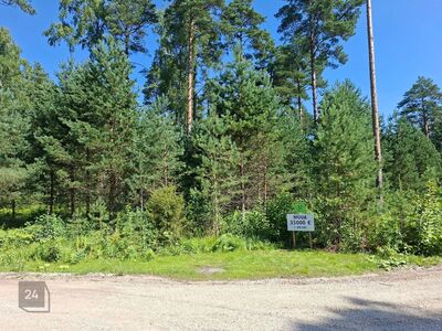 MÜÜA SUUR KRUNT PEIPSI JÄRVE ÄÄRES