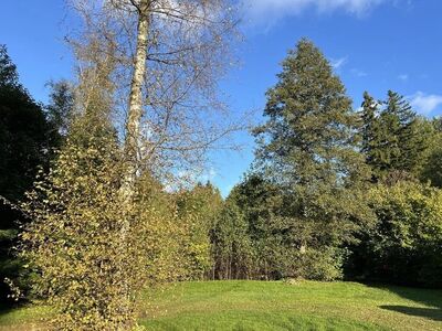 Privaatne krunt - piirneb oja ja metsaga!