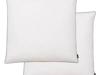 vidaXL sulgedest/udusulgedest kerged padjad, 2 tk, 80 x 80 cm, valge