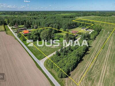Arenduspotentsiaaliga maa Tartust 11km Külitses!