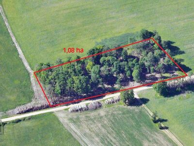 100 aastase tammikuga elamumaa