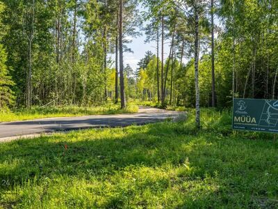 KLIENDIPÄEV 28.07 kell 15:00 -19:00