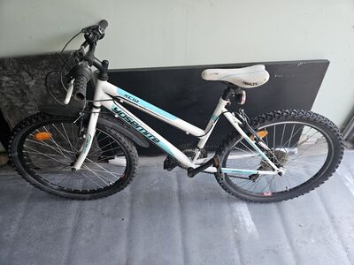 Jalgrattad 20", 24"