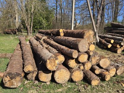 Kuusepalk