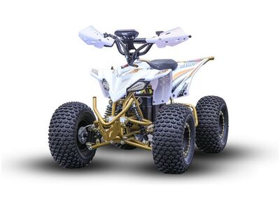 Elektriline atv Premium Falcon 800w 48V
