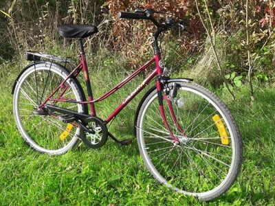 NORRA HOOLDATUD JALGRATAS "DBS CRUISER"