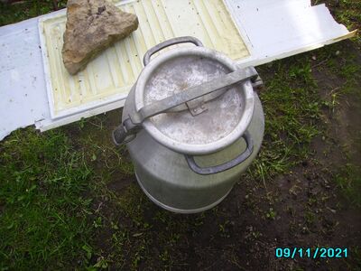 Piimanõu