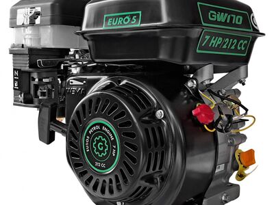Bensiinimootor Grünwelt GW170F-Q 19,05mm