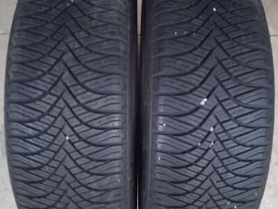 Lamellrehvid Goodride 205/55 R17, 2tk.
