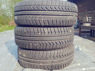Pirelli Cinturato rehvid