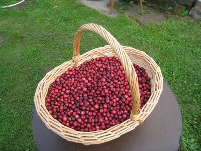 Jõhvikas 7€ liiter, aroonia 3€ kg.
