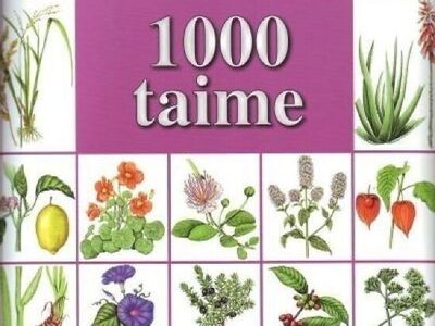 1000 taime