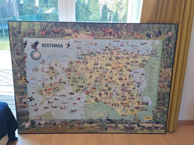 Eesti kaart