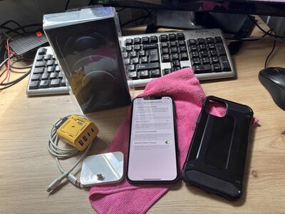IPhone 12 Pro Max 128GB Pacific Blue + Dokk ja lis