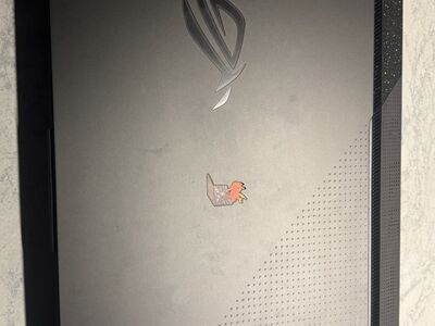 ASUS ROG Strix G17 (G713PV-LL030W)
