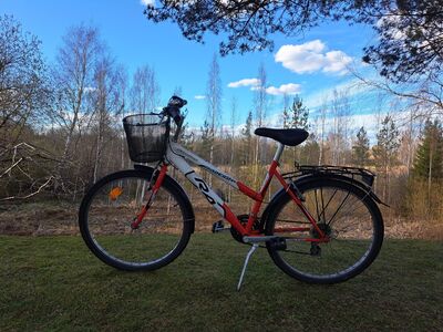 Jalgratas 26"