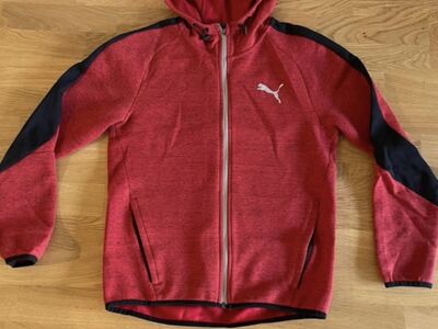 Puma pusa, S
